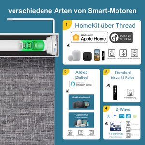 SmartWings festverdrahtete Rollos DC 12V 100% Verdunkelung Safari